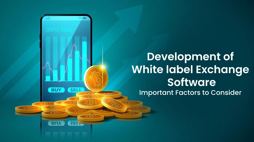 Important Factors to Consider to Develop of White-label Exchange Software