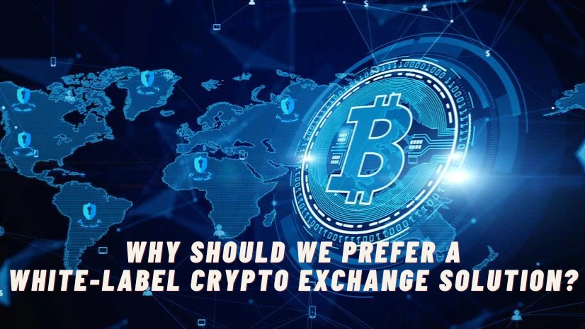 Why should we prefer a White-Label Crypto Exchange solution?