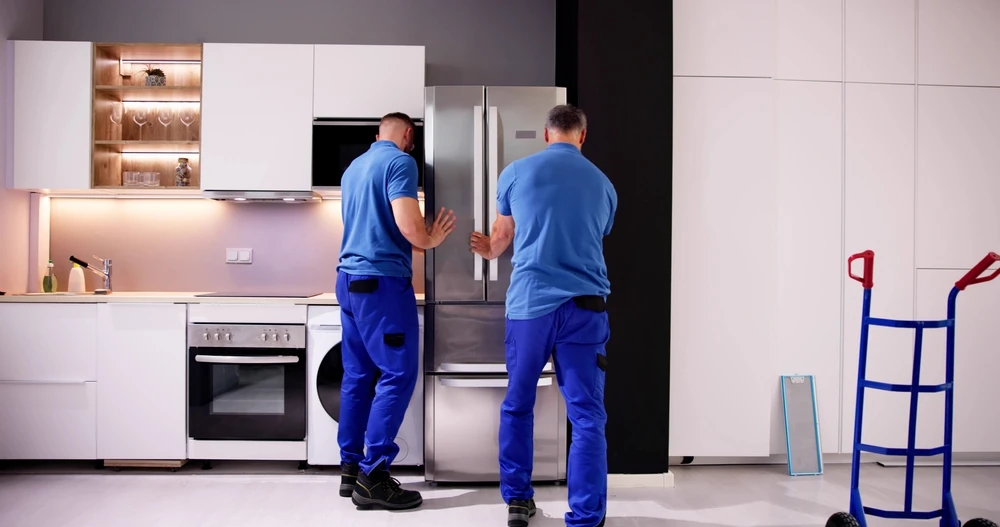 Your Appliance Allies: Navigating Refrigerator and Dishwasher Mastery