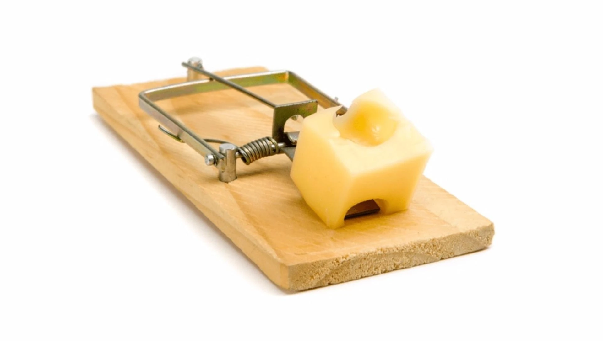 5 Proven Tips to Get Rid of Mice Quickly!