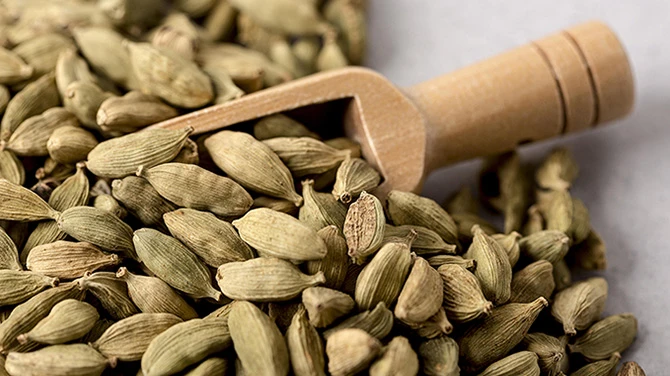 How do you start a cardamom business in India?