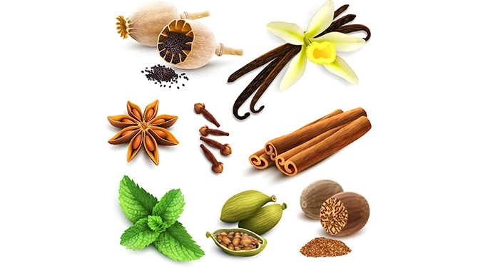Essential Indian Spices for Daily Cooking