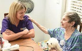 Cultivating Compassion: A Comprehensive Guide to Home Caregiver Services in Raleigh, North Carolina, USA