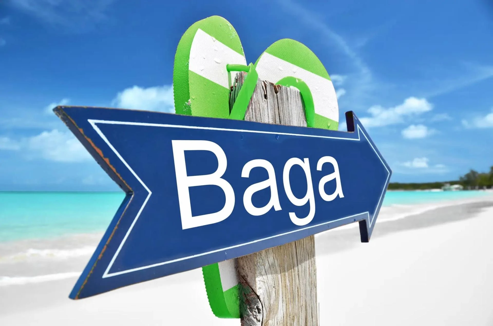 Romantic Getaways: Unveiling the Charm of Goa Couple Tour Packages with Goatourtrip