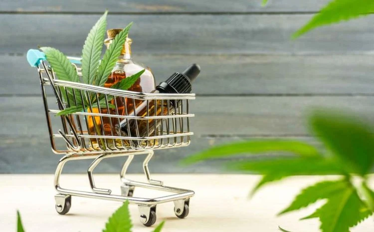 CBD Blog &amp; News | Map Canna