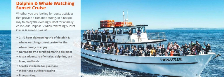 Exploring San Diego's Maritime Wonders: Dolphin Watching and Private Whale Watching Boat Tours!