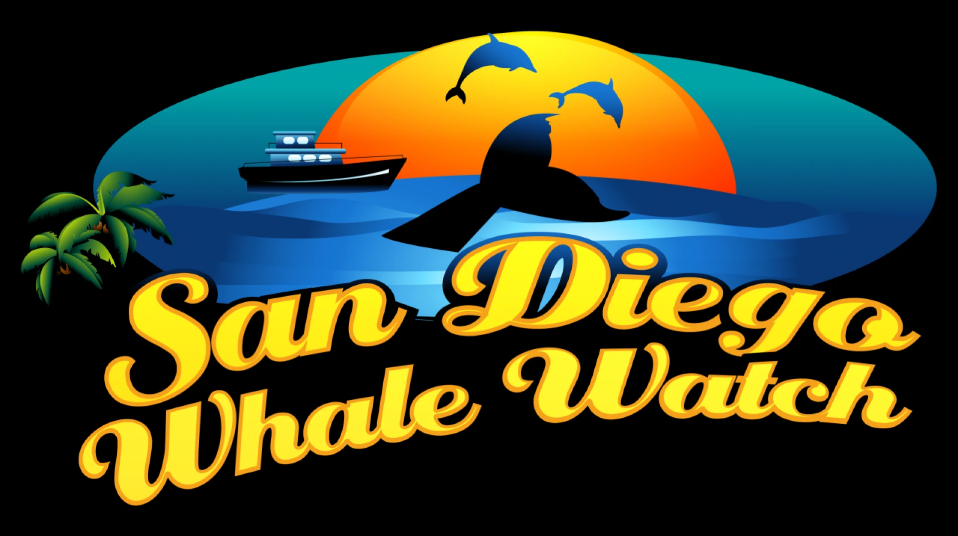 Exploring San Diego's Marine Wonders: Boat Tours and Dolphin Adventures!
