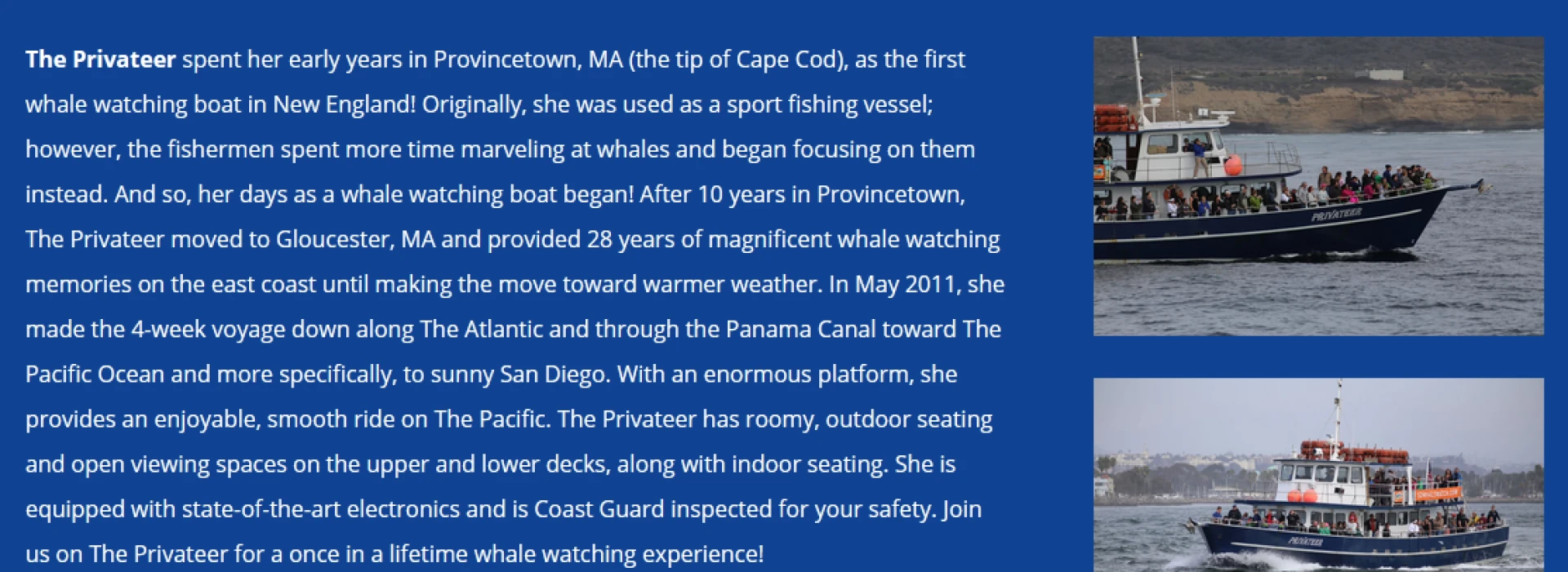 Enjoy the Ultimate Marine Adventure: Private Whale Watching and Boat Tours!