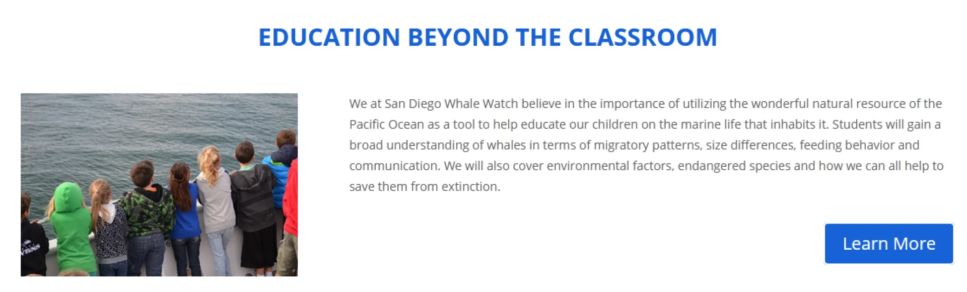 Unveiling the Majesty of the Pacific: Whale Watching Tours in California!