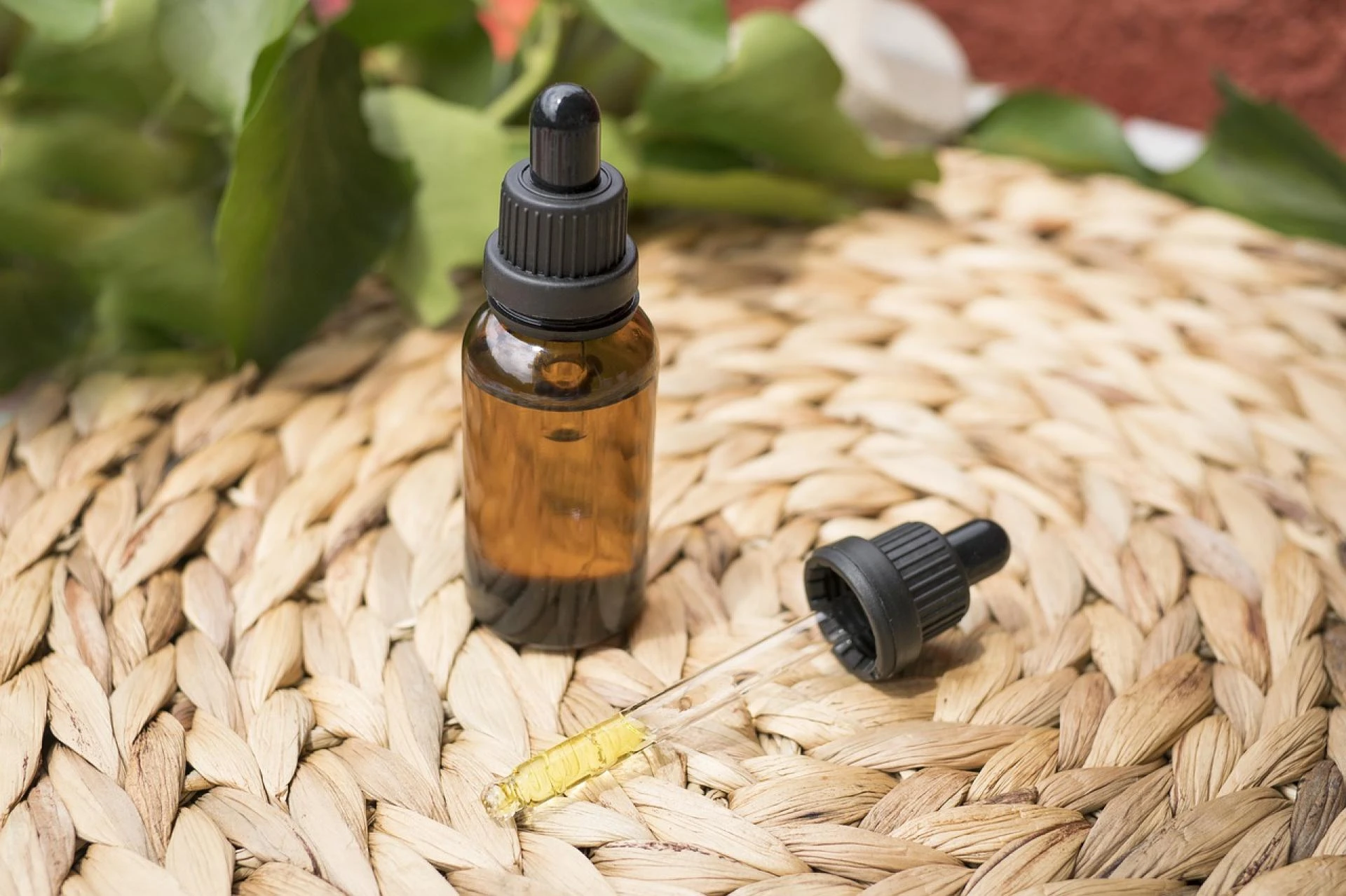 Know Everything About CBD Oil