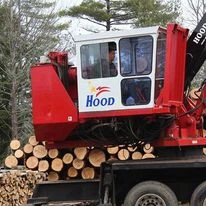 The Role of Technology in Minimizing the Negative Effects of Land Clearing