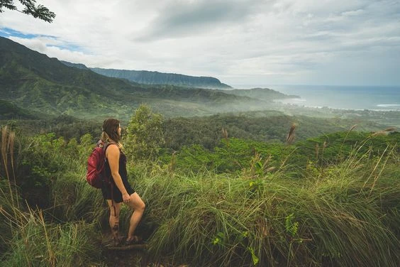 Top Hiking Tours In Maui With Stardust Hawaii