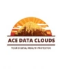 AceData offers data protection services