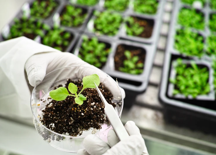 How have biotechnological practices been impacted by Enzymes
