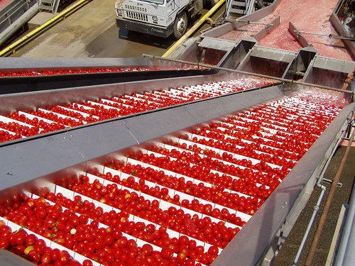 All about Tomato Sauce Manufacturing Business