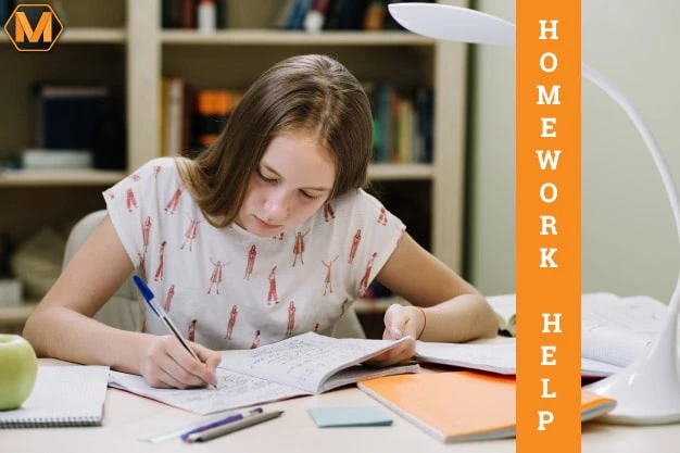 Importance of Preparation in Teaching for your Homework