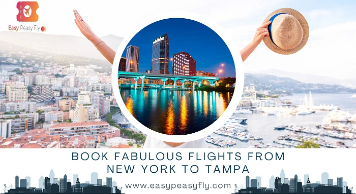 Flights From New York To Tampa- Get Refundable Tickets
