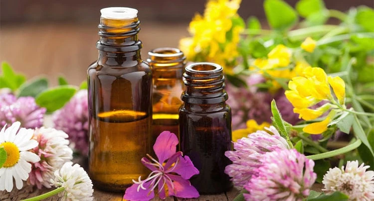 Top Health Benefits Of Essential Oil Wizardry Users Should Know