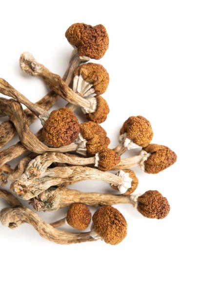 How Safe Is It to Buy Shrooms Online?