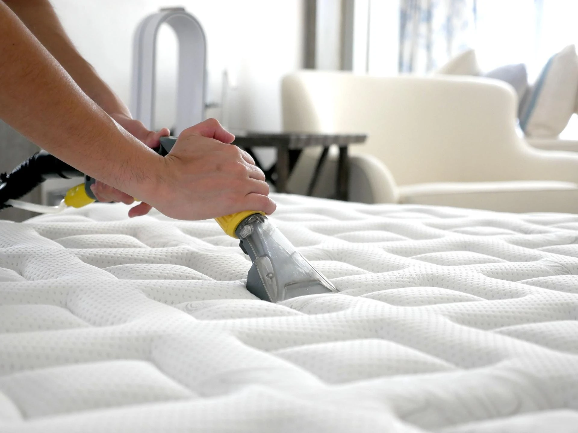 A Deep Dive into the Science Behind Deluxe Mattress' Effective Mattress Cleaning Methods