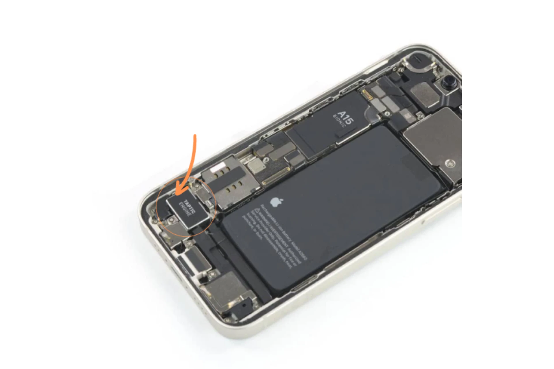 Giá thay cục rung iPhone 13 Mini: Những điều bạn cần biết