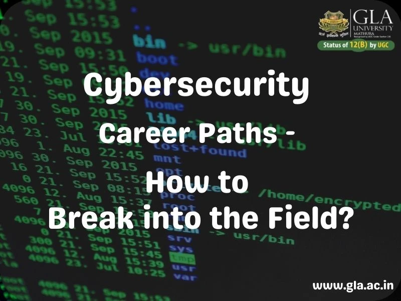 Cybersecurity Career Paths - How to Break into the Field?
