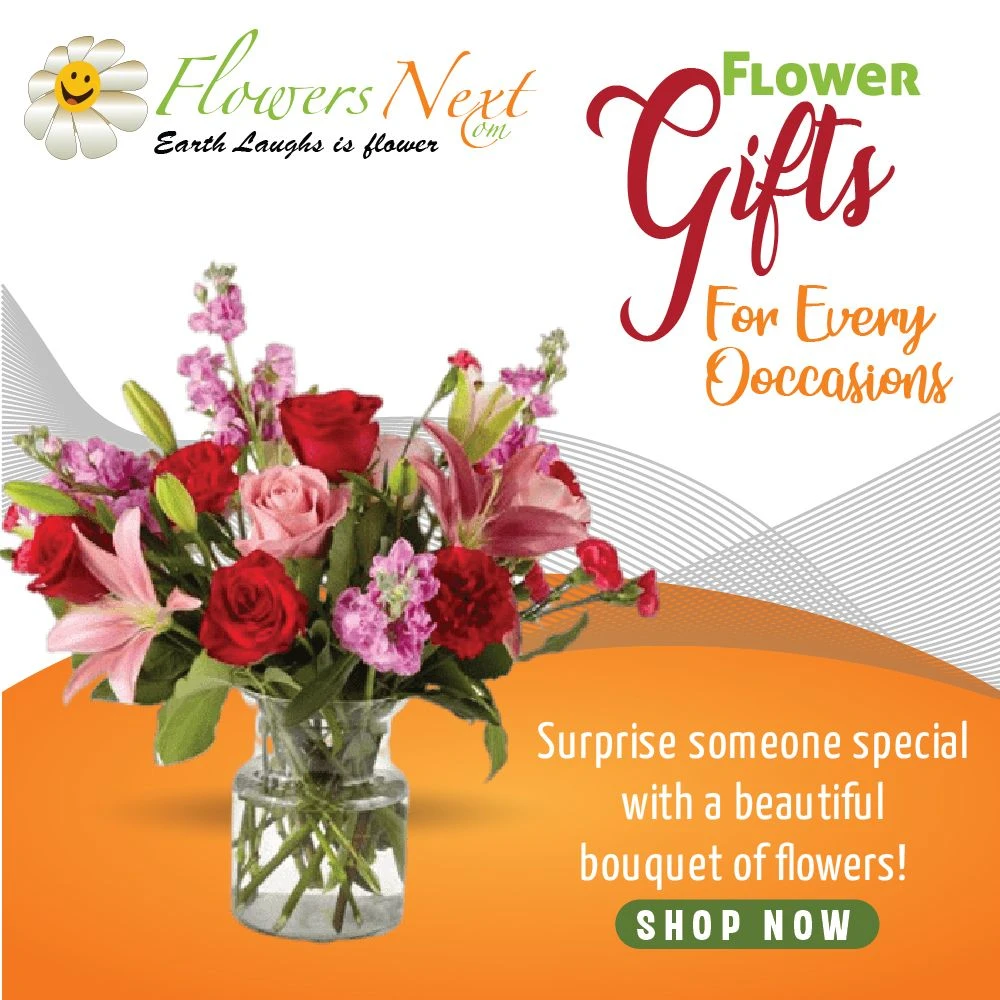 Zen Blossoms: Serene Floral Arrangements to Brighten Japan's Days