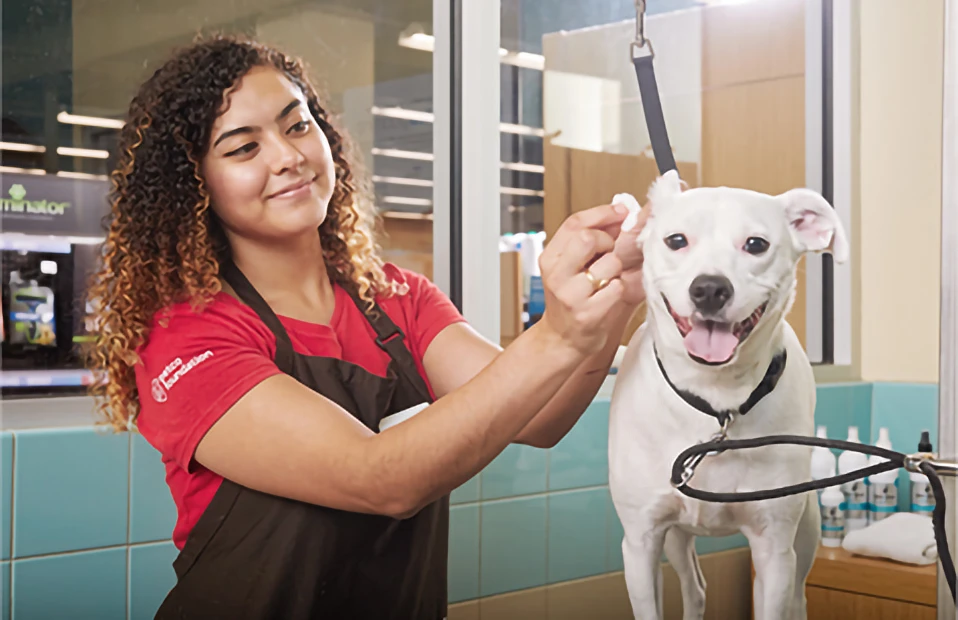 Petco Active Promo Codes &amp; Coupons