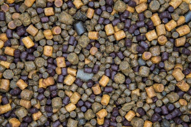 Ornamental Fish Feed Market with Covid-19 Impact, Key Players, Size, Demands, Growth Rate and Forecasts to 2030