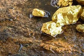 Gold Stocks to Invest in Canada