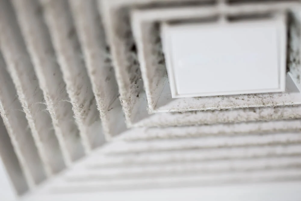 What to Expect From Air Duct Cleaning Professionals?
