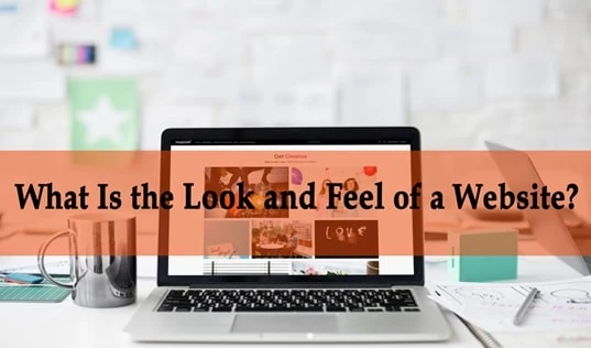 What Is the Look and Feel of a Website?
