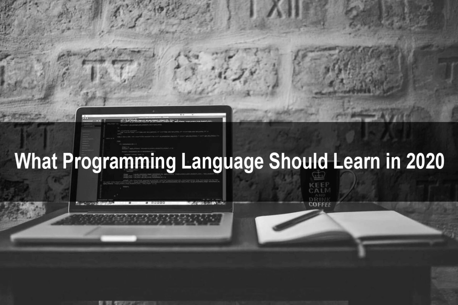 What Programming Language Should Learn Beginners in 2020?