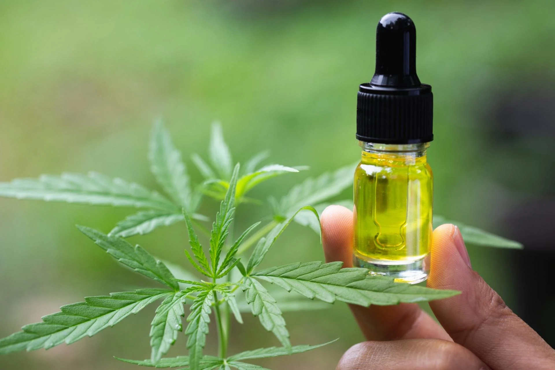 6 Important Safety Tips for CBD Oil Packaging