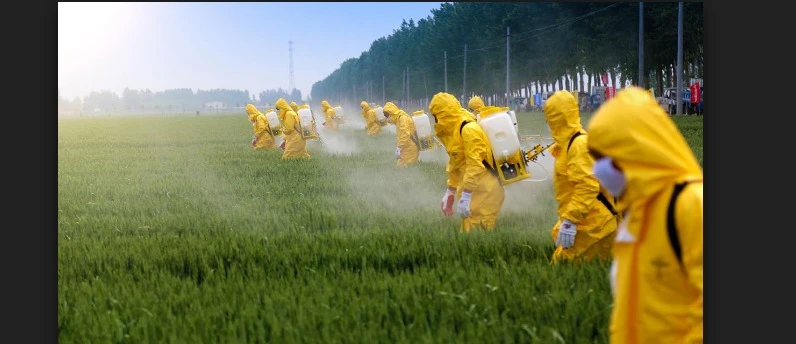 Agrochemicals Manufacturing Plant Cost | Detailed Project Report 2024 By IMARC Group