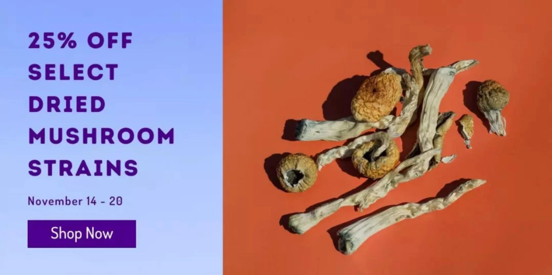 The Latest Trends in Psychedelic Mushroom Consumption