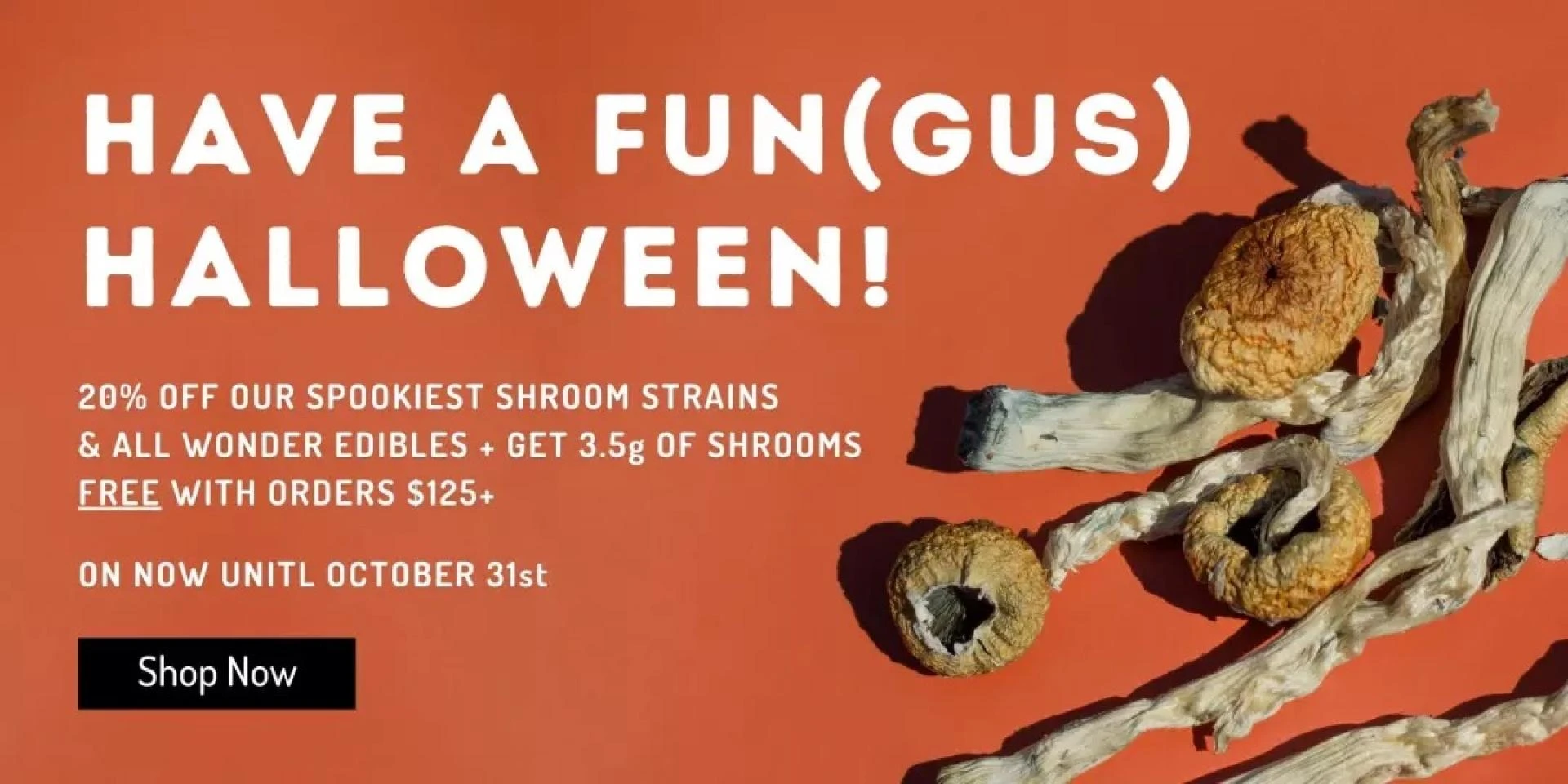 Exploring the Science Behind Magic Mushrooms for Studying and Learning