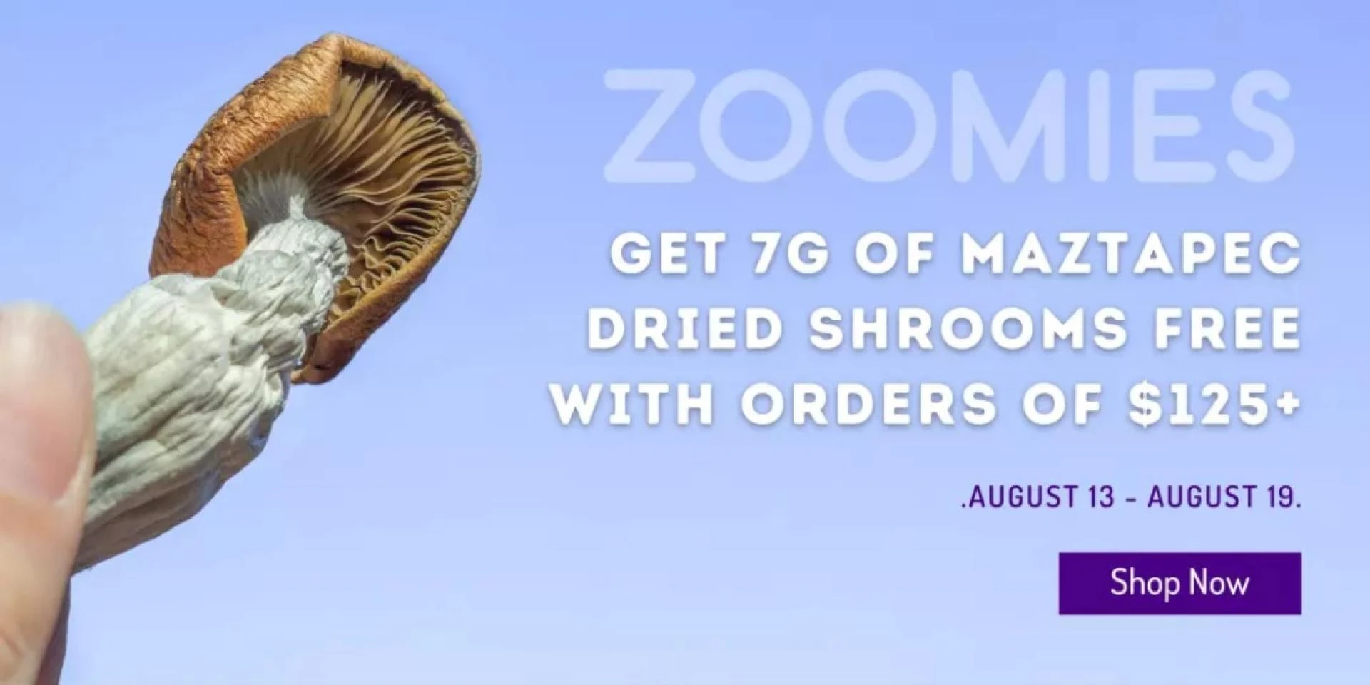 The Magic of Magical Mushrooms in Chocolate Bars