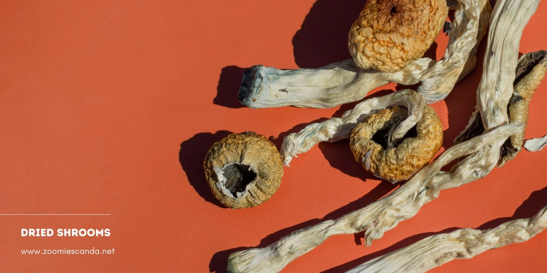 Amazonian Cubensis Magic Mushrooms — A Natural Cure For Depression And Anxiety