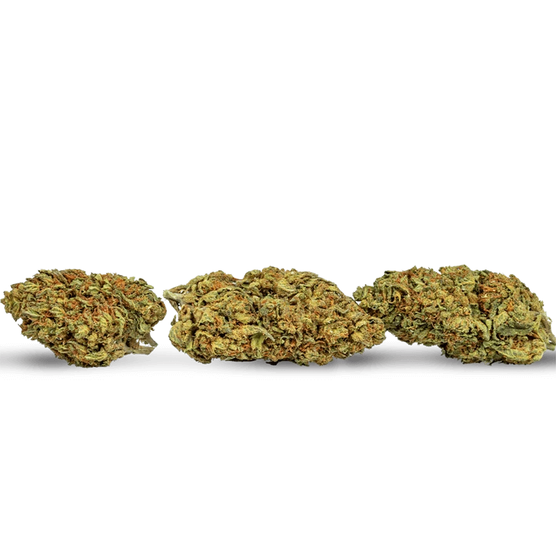 Delta 8 Gorilla Glue Strain: A Potent Hybrid Strain with Unique Flavor and Potential Health Benefits