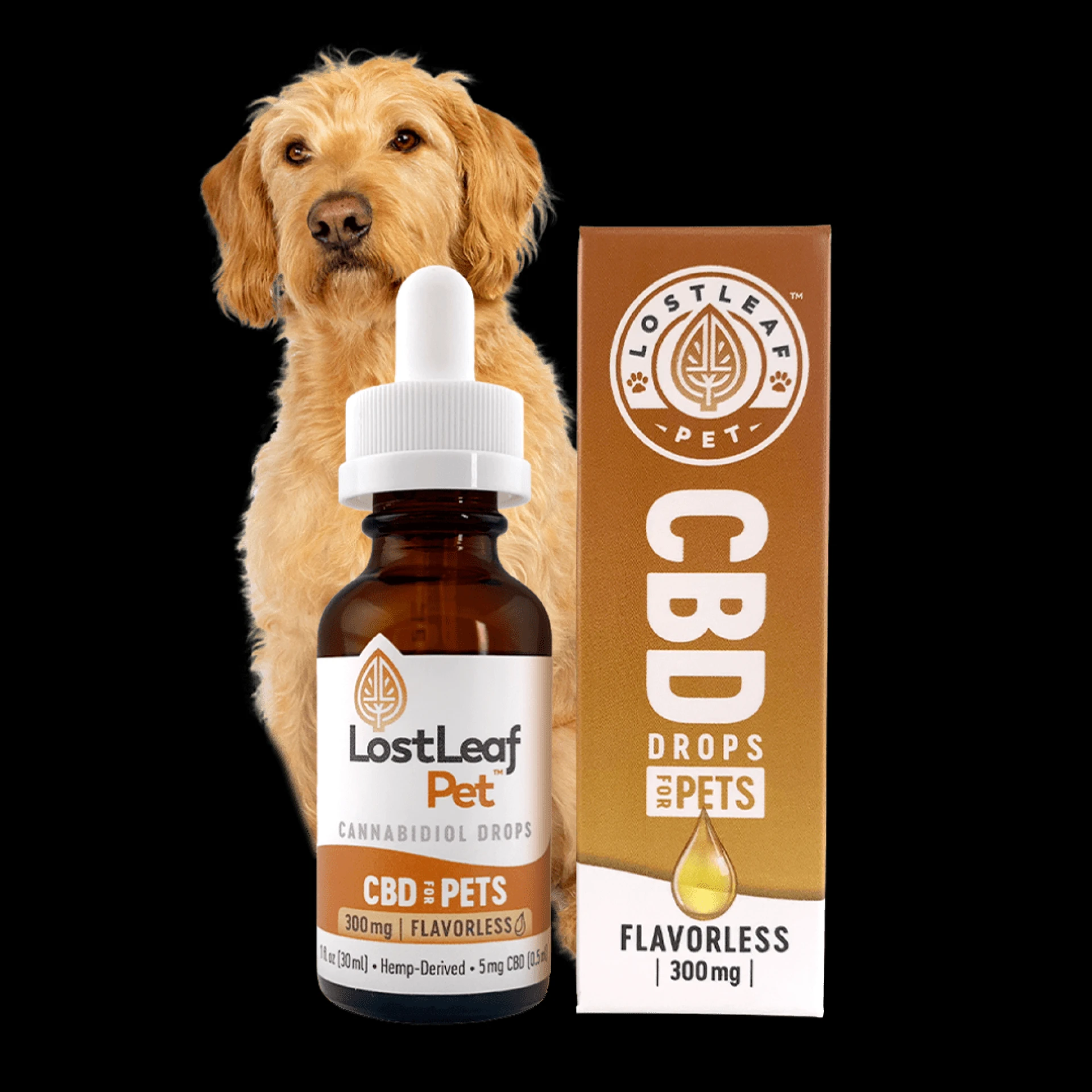 CBD for Pets: A Vast Expert