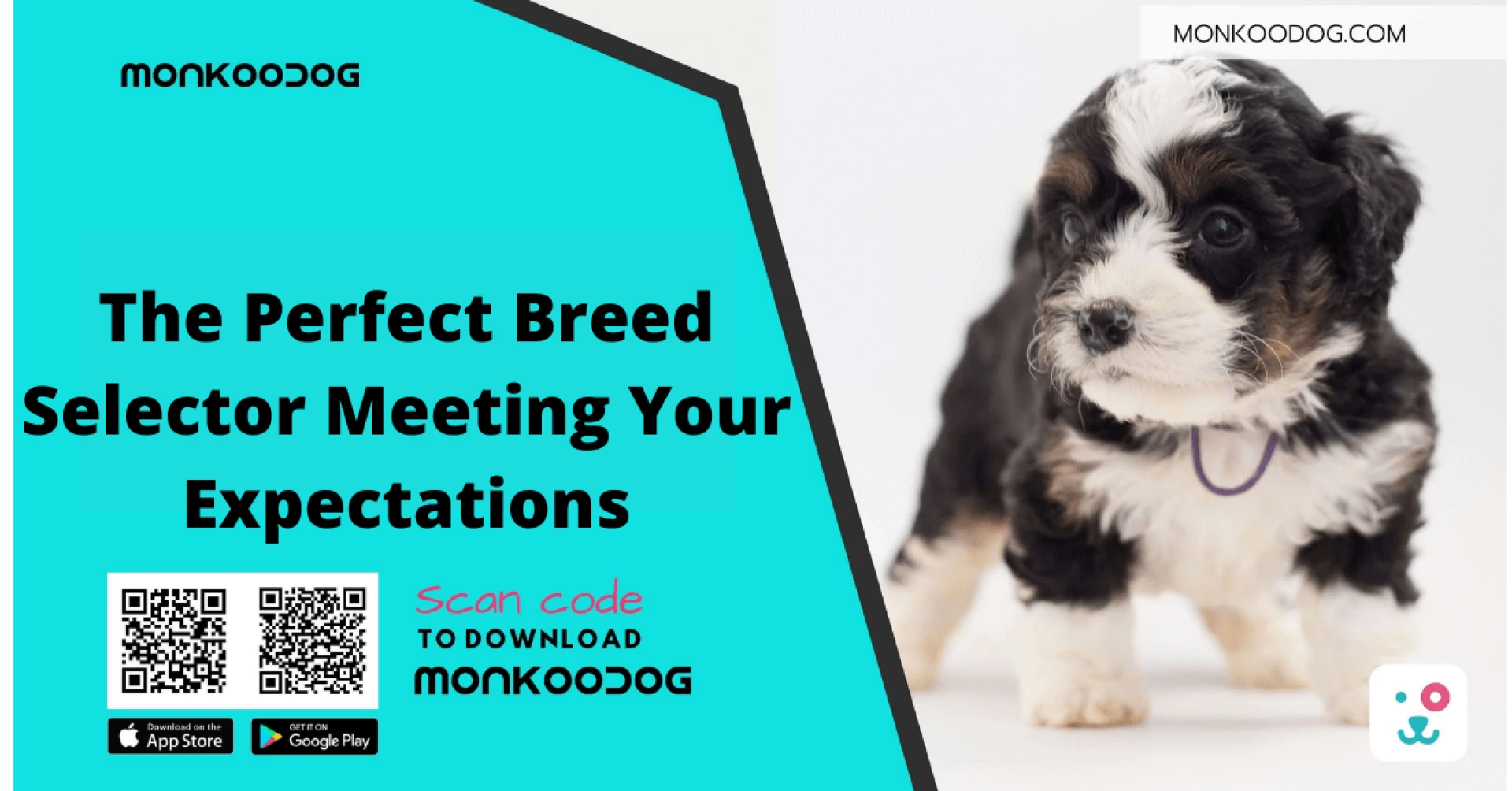 The Perfect Breed Selector Meeting Your Expectations