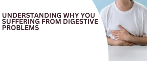 Understanding Why You Suffering From Digestive Problems