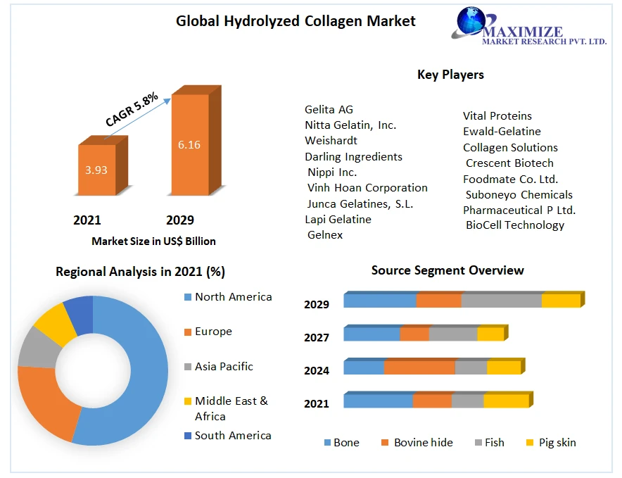 Hydrolyzed Collagen Market Size, Opportunities, Company Profile, Developments and Outlook 2029