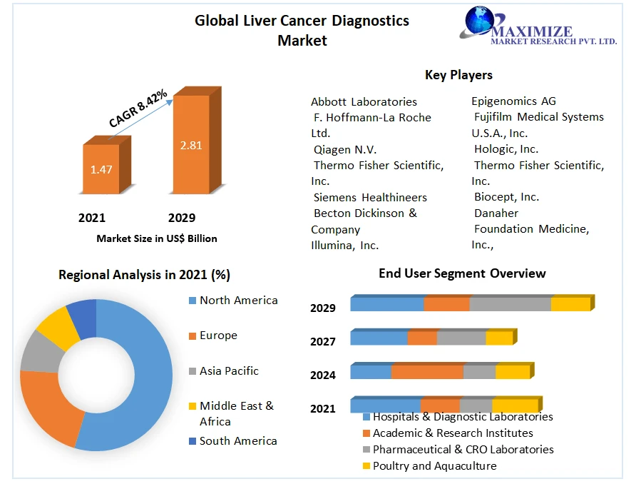 Liver Cancer Diagnostics Market Product Introduction, Recent Developments, Competitive Landscape and Dynamics by 2029