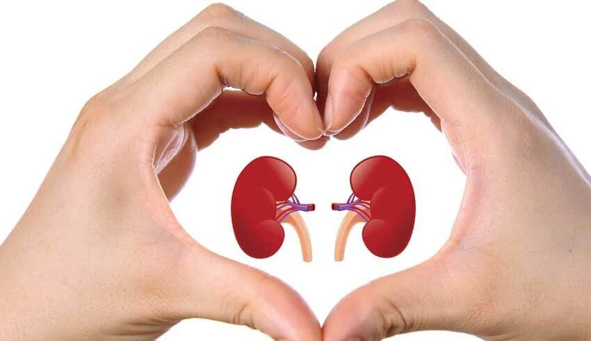 How Can I Heal My Kidneys Naturally ?