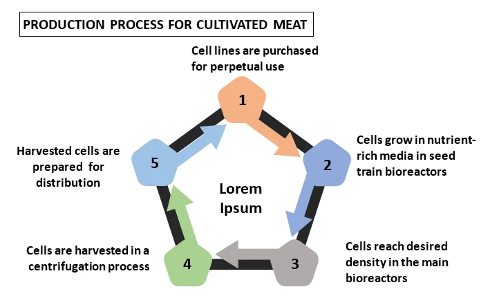 Cultivated Meat by Manufacturers, Types, Regions and Application Research Report Forecast to 2029