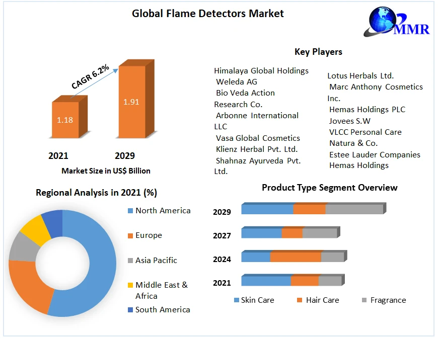 Flame Detectors Market Global Production, Growth, Share, Demand and Applications Forecast to 2029