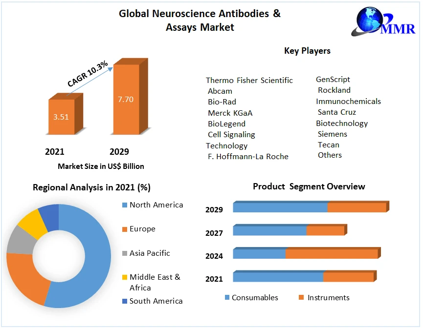 Neuroscience Antibodies &amp; Assays Market  Trends, Strategy, Application Analysis, Demand, Status and Global Share