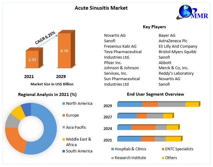 Acute Sinusitis Market  Major Players 2029